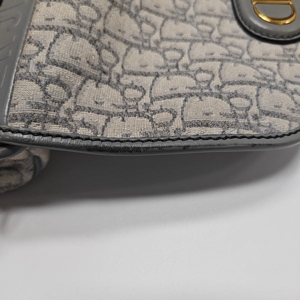 Bobby Medium Oblique Canvas Gray