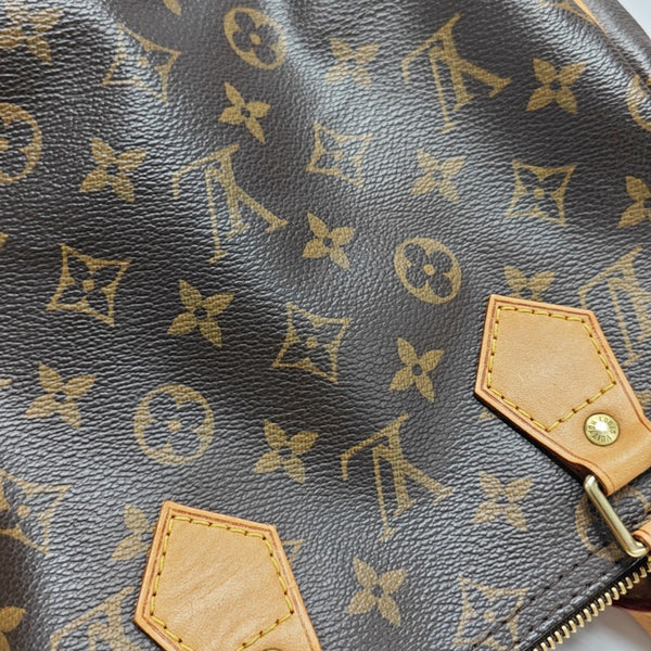 SPEEDY 25 Monogram Coated Canvas Brown