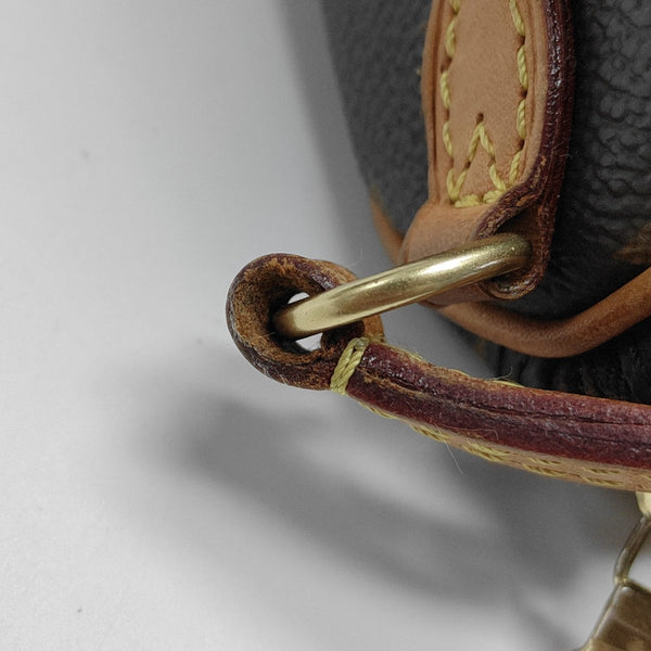 SPEEDY Nano Monogram Coated Canvas Brown