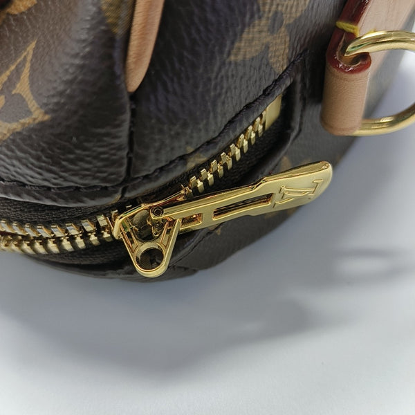 SPEEDY 20 Monogram Coated Canvas Brown