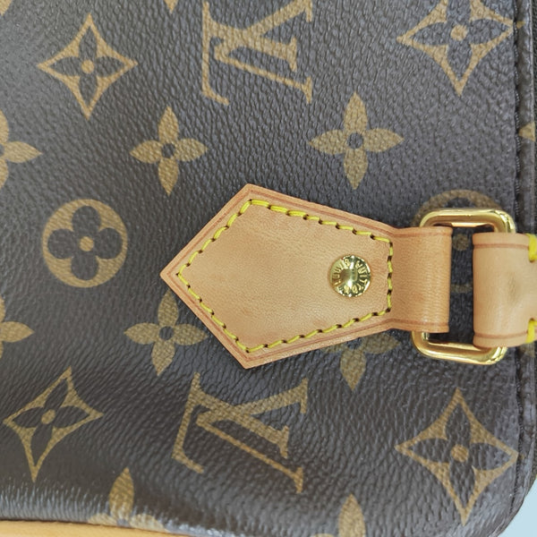 SPEEDY 20 Monogram Coated Canvas Brown
