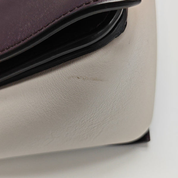 FRAME Medium Calfskin Multicolor