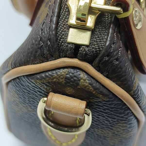 SPEEDY Nano Monogram Coated Canvas Brown