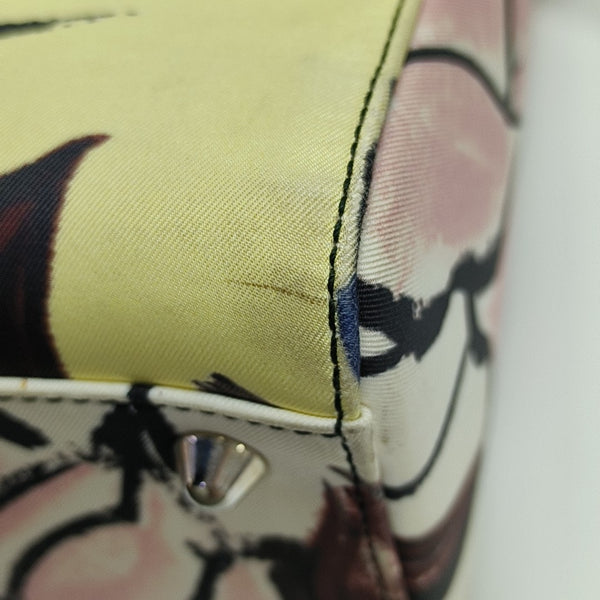 Lady Dior Large Canvas Multicolor