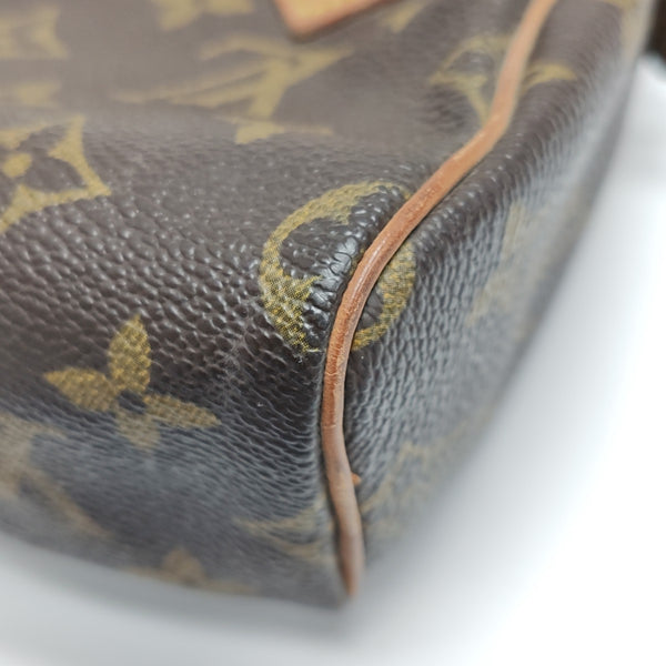 SPEEDY Nano Monogram Coated Canvas Brown