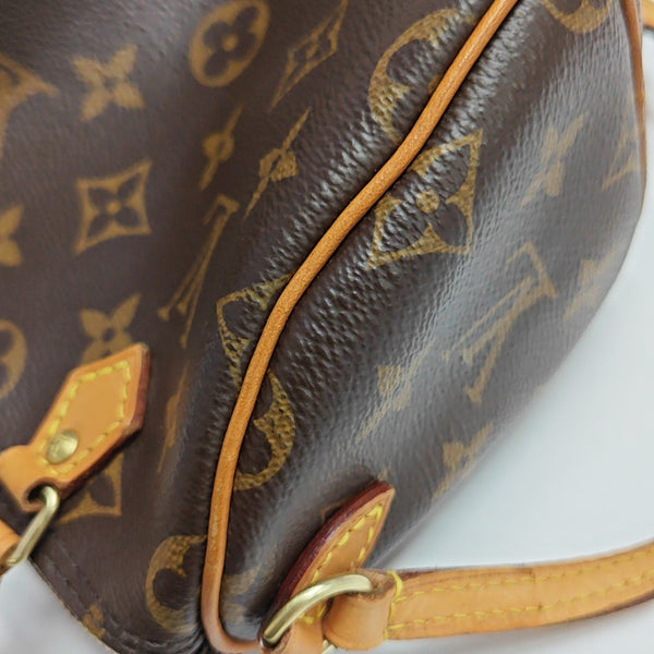 SPEEDY Nano Monogram Coated Canvas Brown