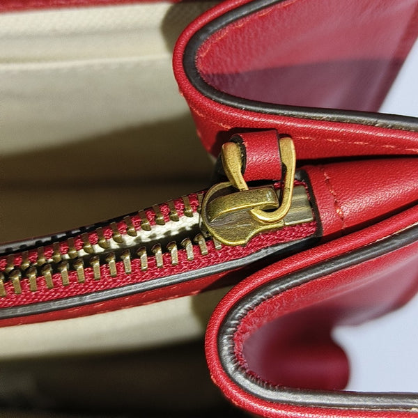 Dionysus Medium Calfskin Red