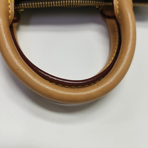SPEEDY 25 Monogram Coated Canvas Brown