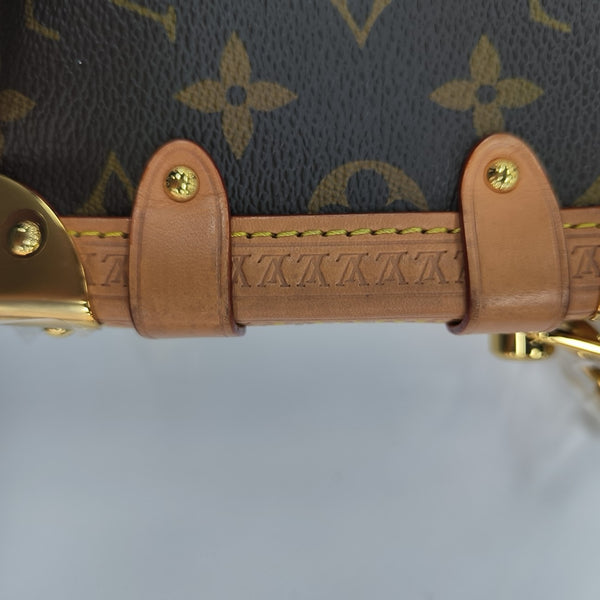 SIDE TRUNK PM Monogram Coated Canvas Brown
