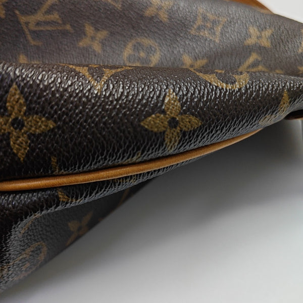 DELIGHTFUL PM Monogram Coated Canvas Brown