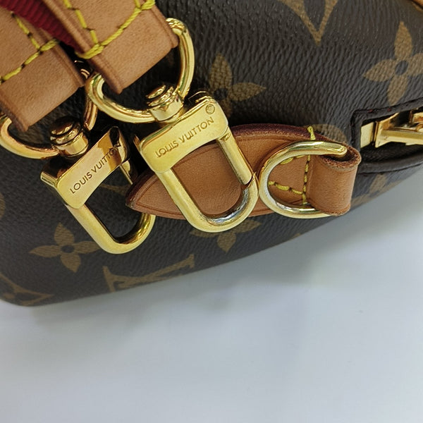SPEEDY 20 Monogram Coated Canvas Brown
