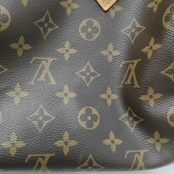 SPEEDY 25 Monogram Coated Canvas Brown