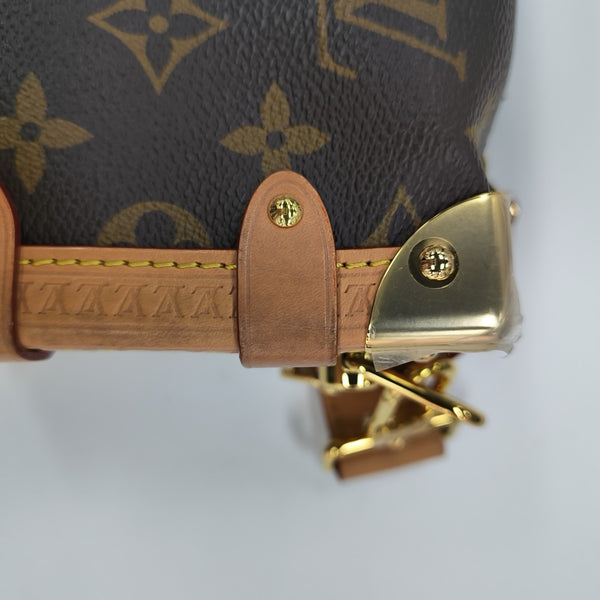 SIDE TRUNK PM Monogram Coated Canvas Brown