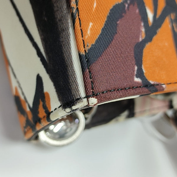 Lady Dior Large Canvas Multicolor