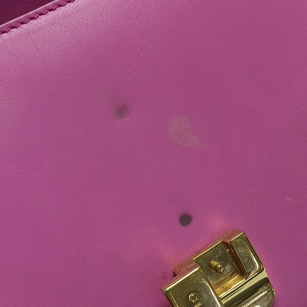 Sylvie Mini Calfskin Pink