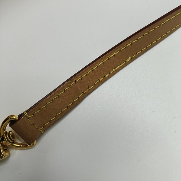 SPEEDY Nano Monogram Coated Canvas Brown