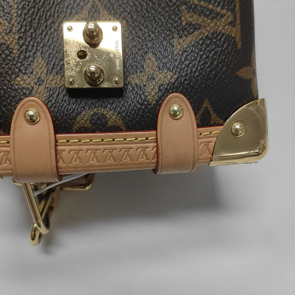 SIDE TRUNK PM Monogram Coated Canvas Brown