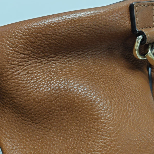 Faye Mini Calfskin Brown