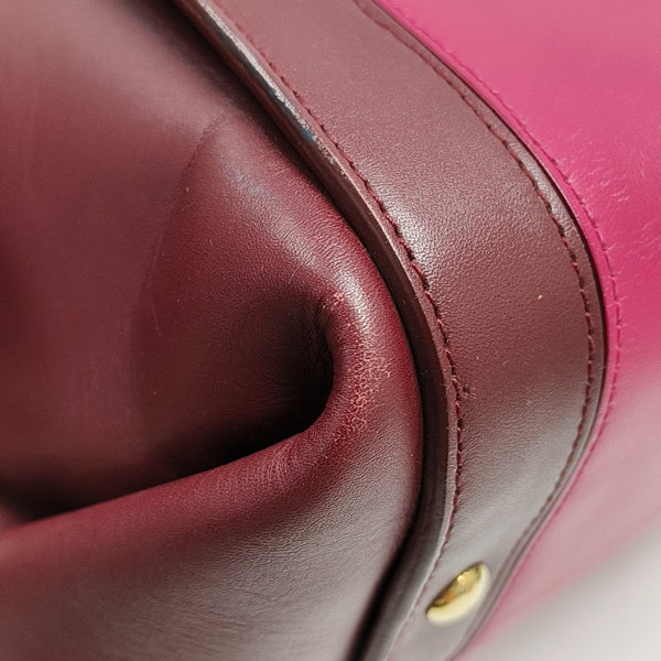 Sofia Calfskin Multicolor