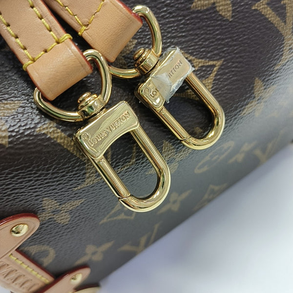 SIDE TRUNK PM Monogram Coated Canvas Brown
