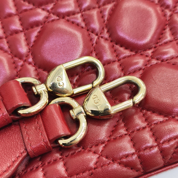 Lady D-Joy Medium Cannage Lambskin Multicolor