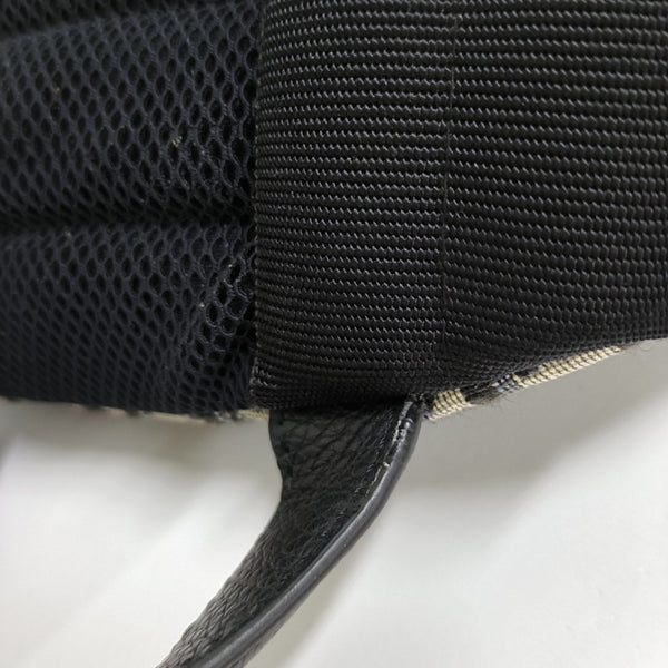 Rider Oblique Canvas Blue