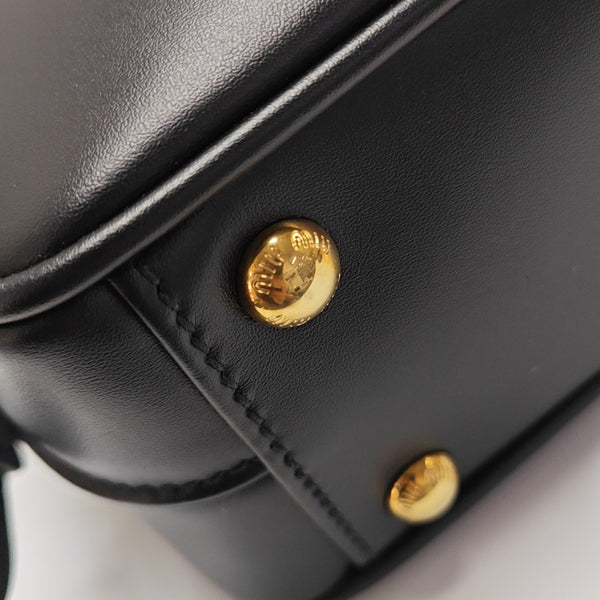 Arcadie Calfskin Black