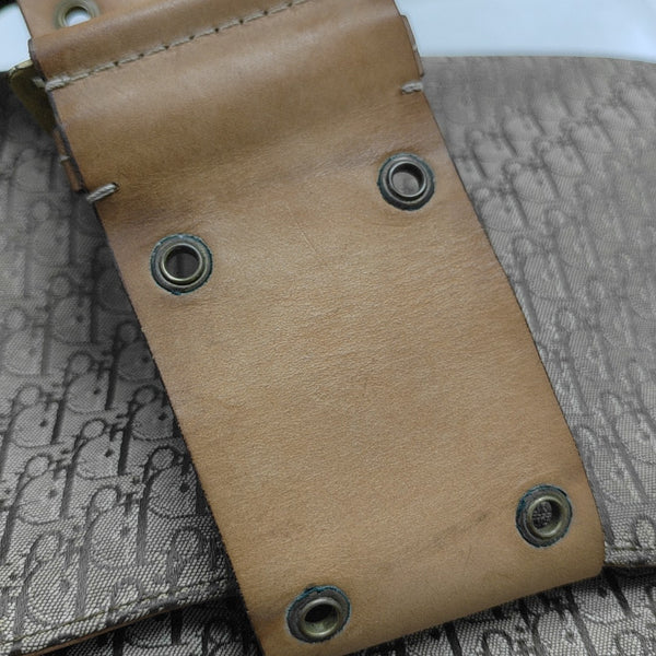 Street Chic Oblique Canvas Brown