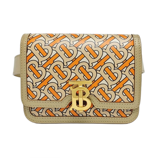 Authenticated pre-owned Tb Mini Calfskin Multicolor - Belt Bag at Looply