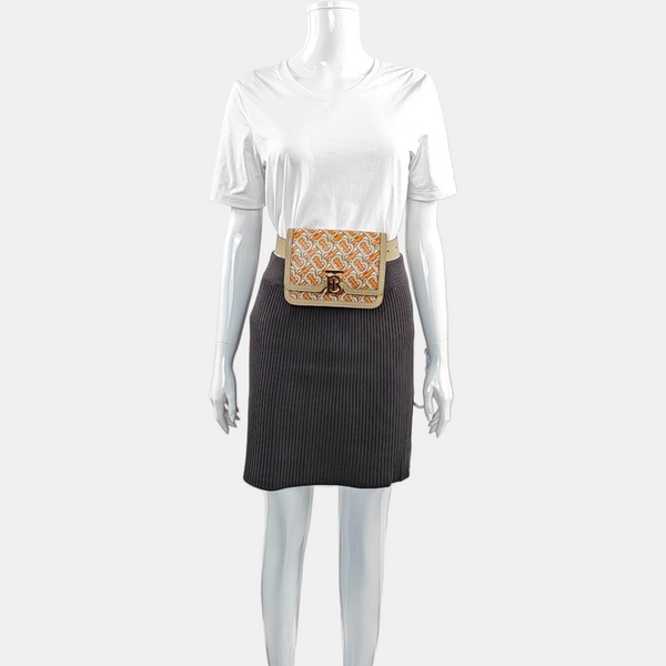 Authenticated pre-owned Tb Mini Calfskin Multicolor - Belt Bag at Looply