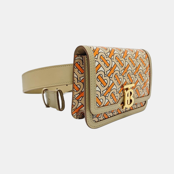 Authenticated pre-owned Tb Mini Calfskin Multicolor - Belt Bag at Looply