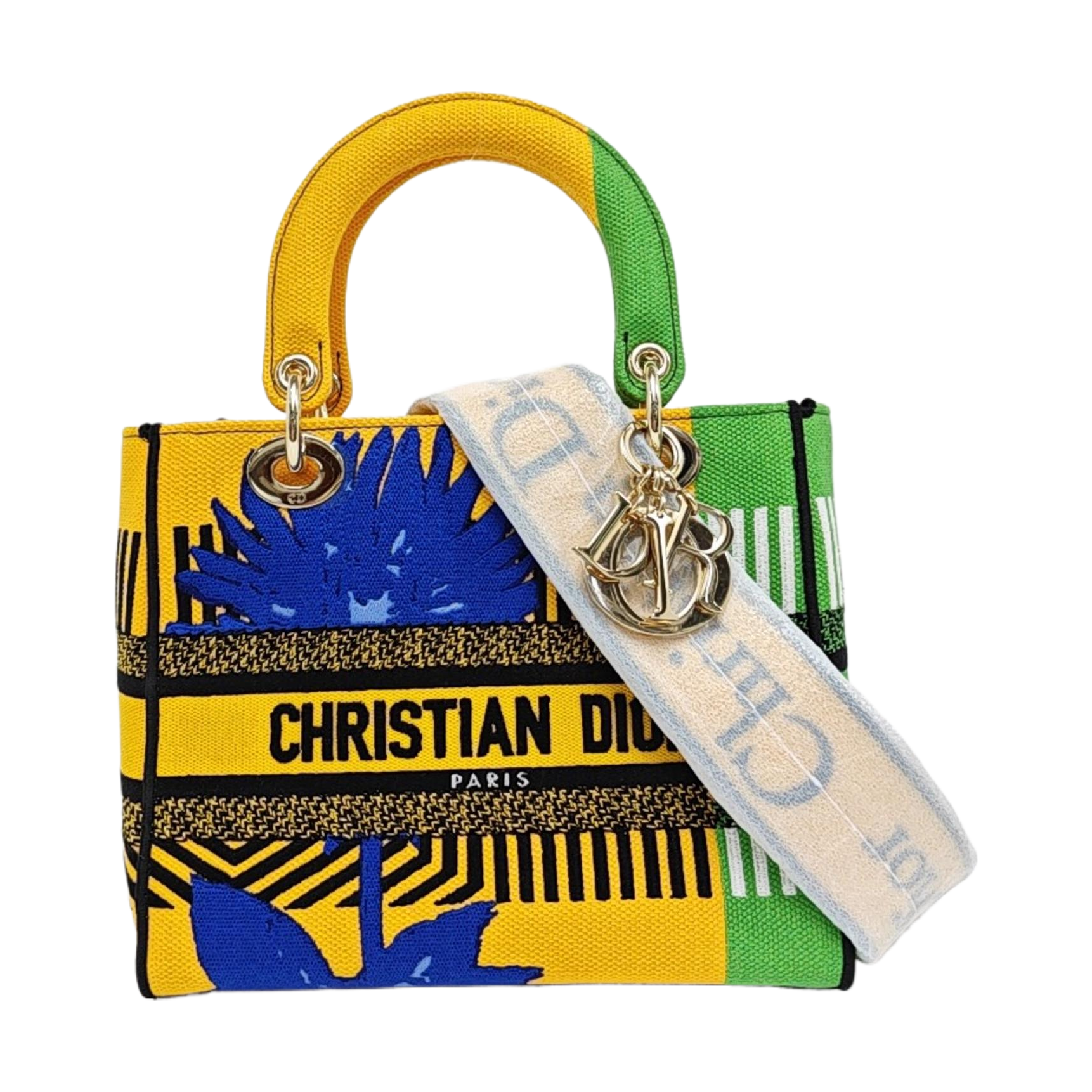 Authenticated pre-owned  Lady D-Lite Medium Fabric Multicolor - Tote Bag at Looply
