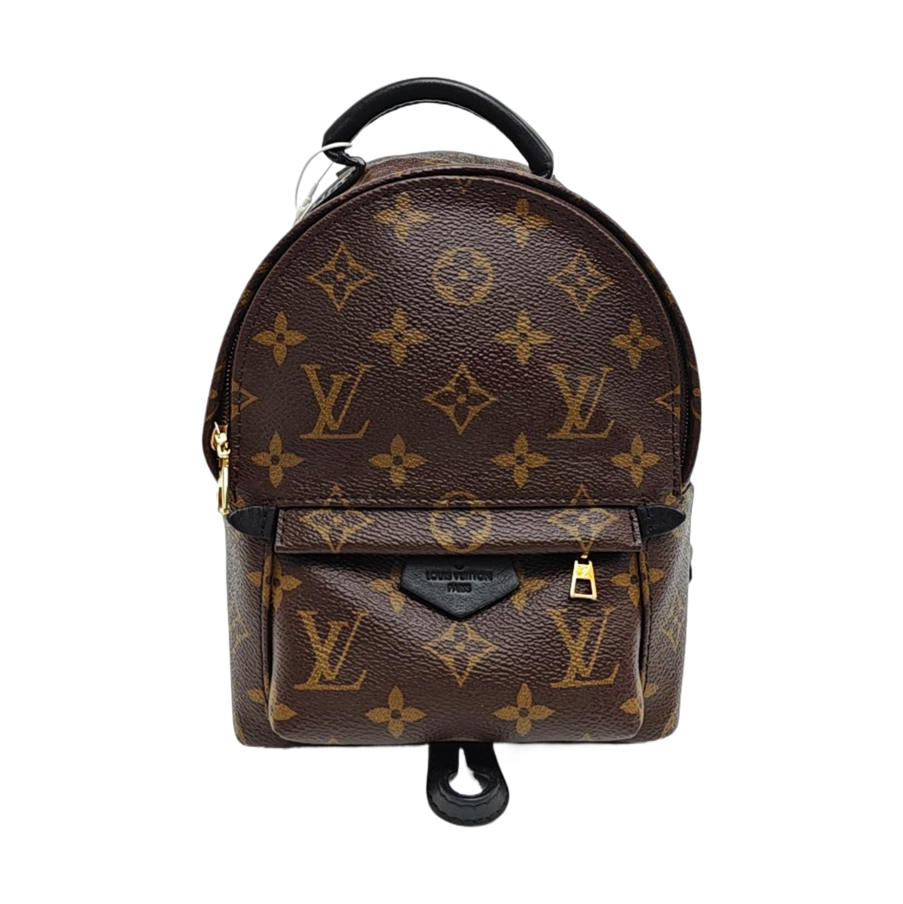 PALM SPRINGS Mini Monogram Coated Canvas Brown