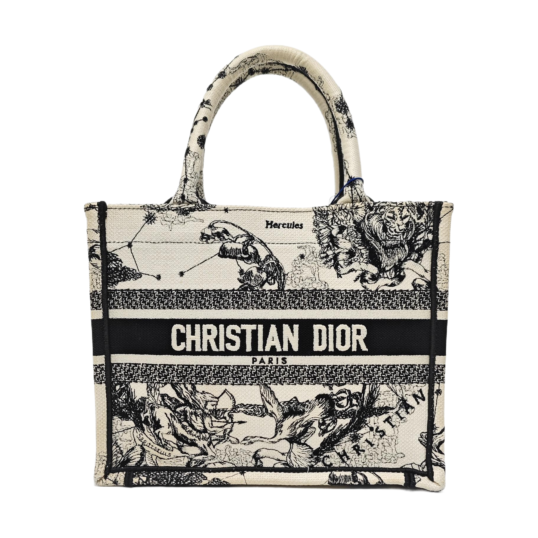 Book Tote Small Canvas White