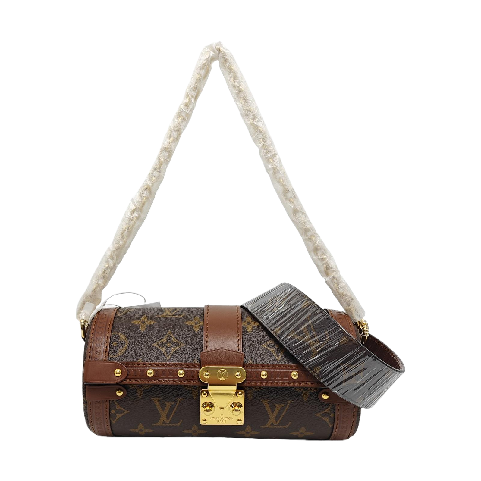 PAPILLON 19 Monogram Coated Canvas Brown