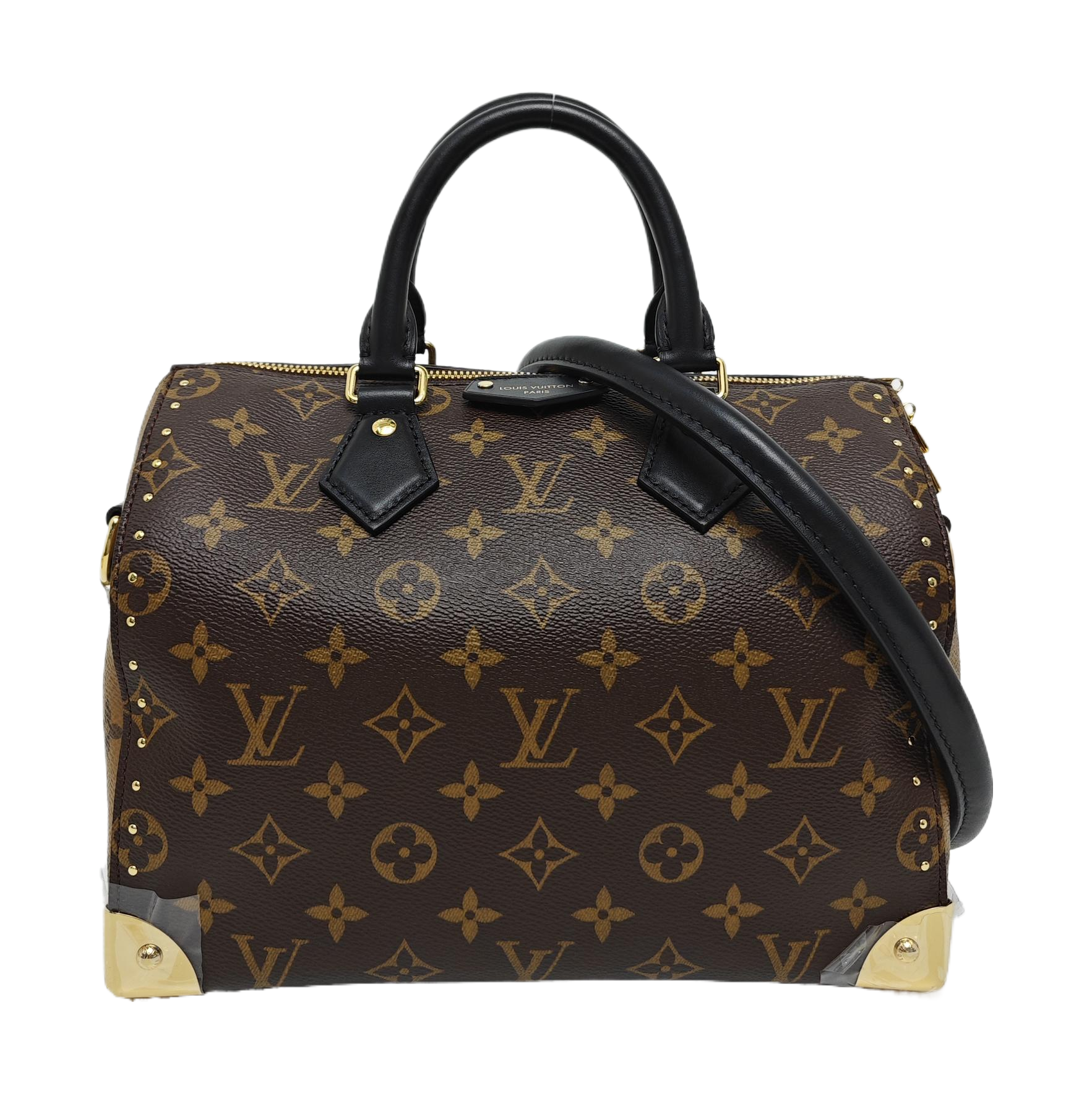 SPEEDY 25 Monogram Coated Canvas Brown