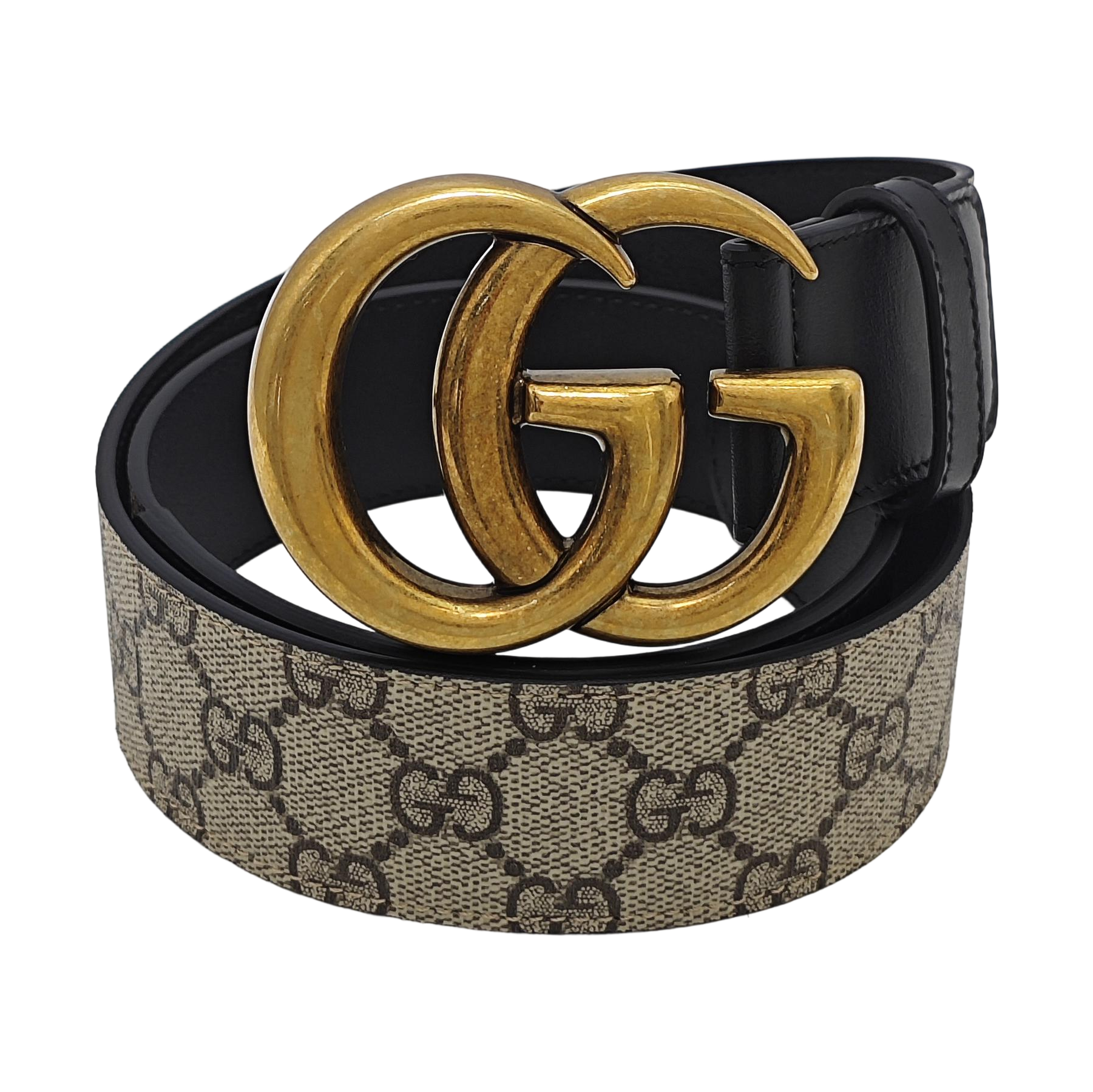 Coated Canvas Belt Beige