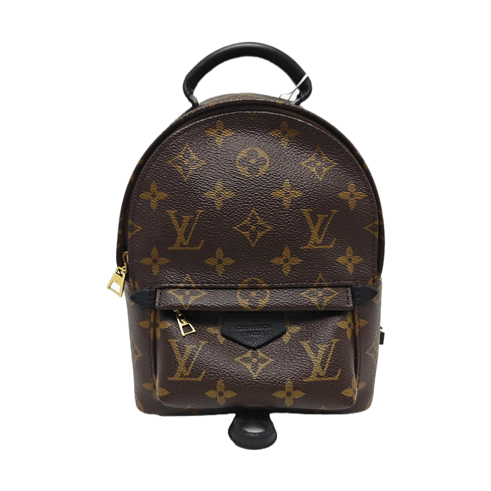 PALM SPRINGS Mini Monogram Coated Canvas Brown
