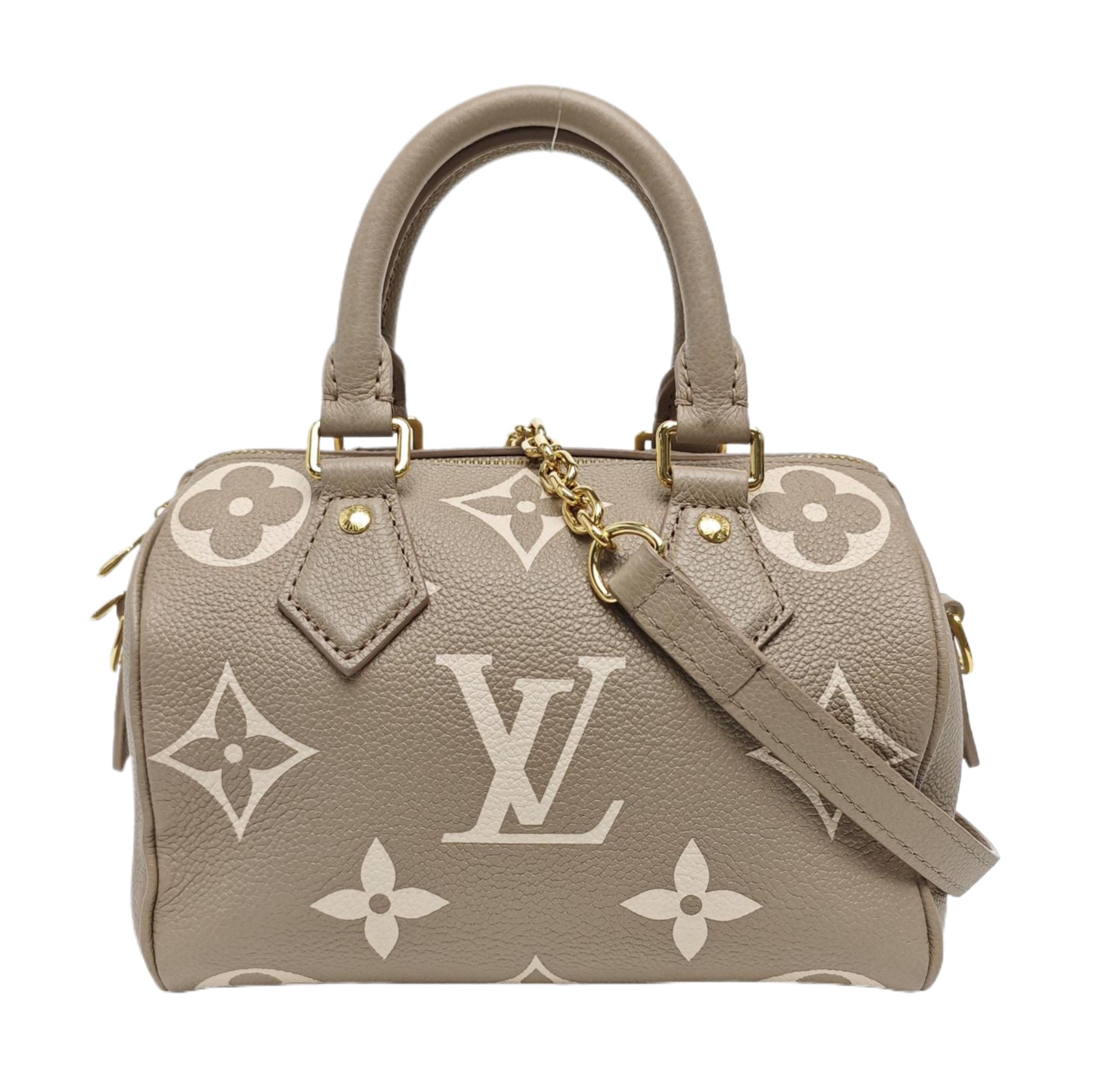SPEEDY 20 Monogram Calfskin Gray