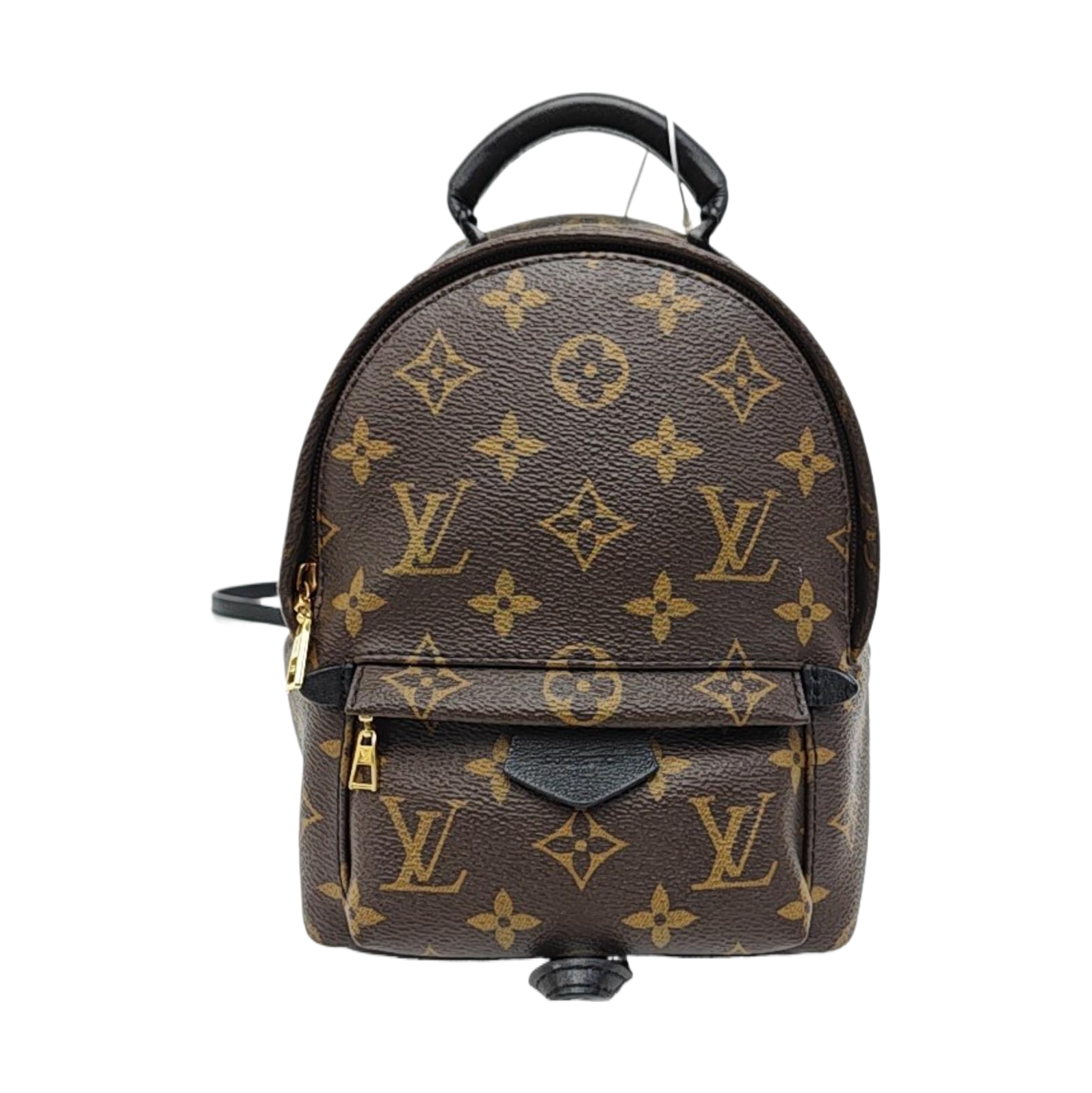 PALM SPRINGS Mini Monogram Coated Canvas Brown