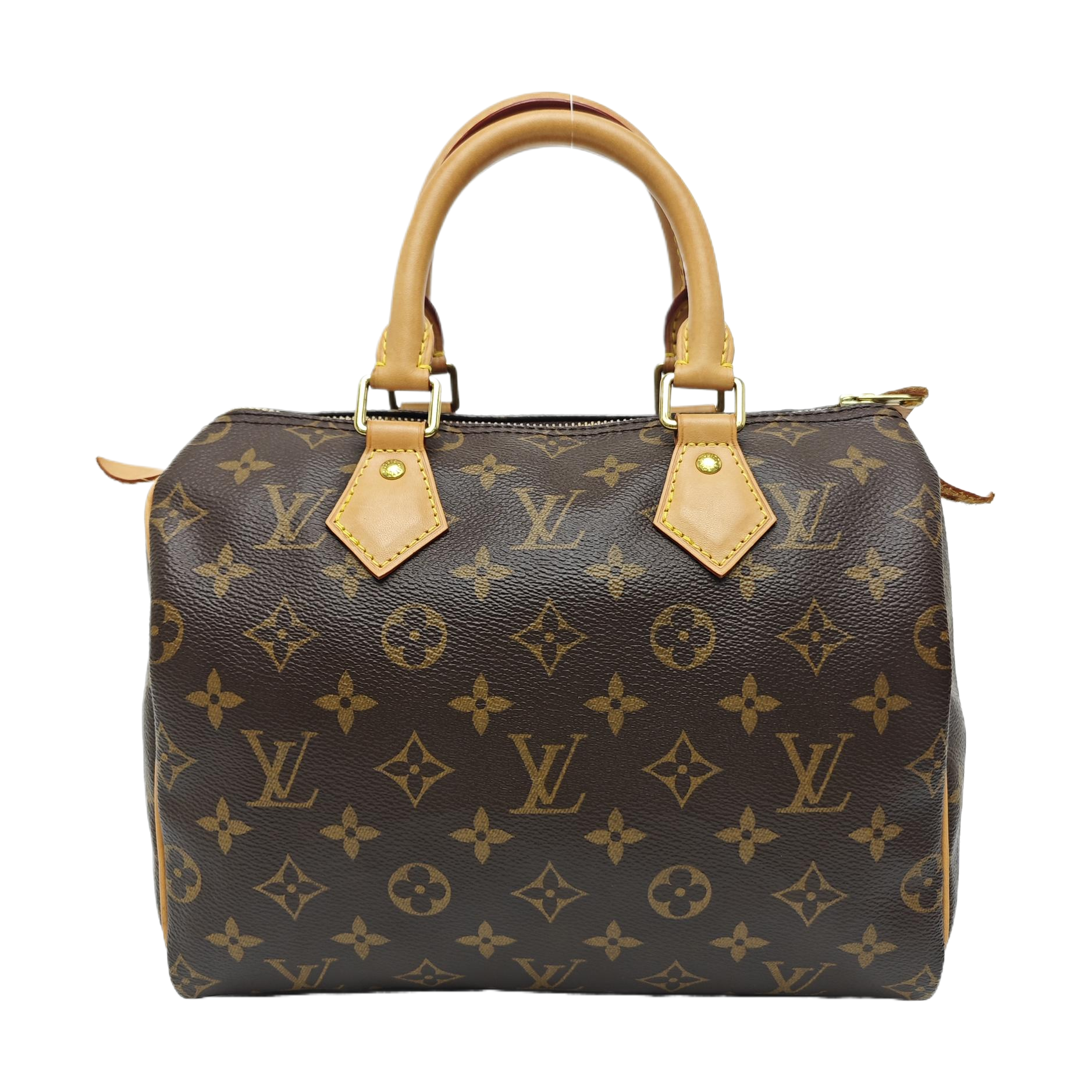 SPEEDY 25 Monogram Coated Canvas Brown