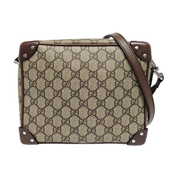 Trunk Monogram Coated Canvas Brown