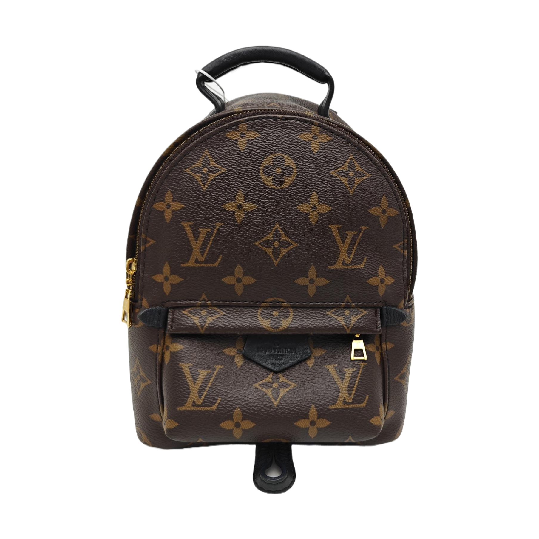 PALM SPRINGS Mini Monogram Coated Canvas Brown