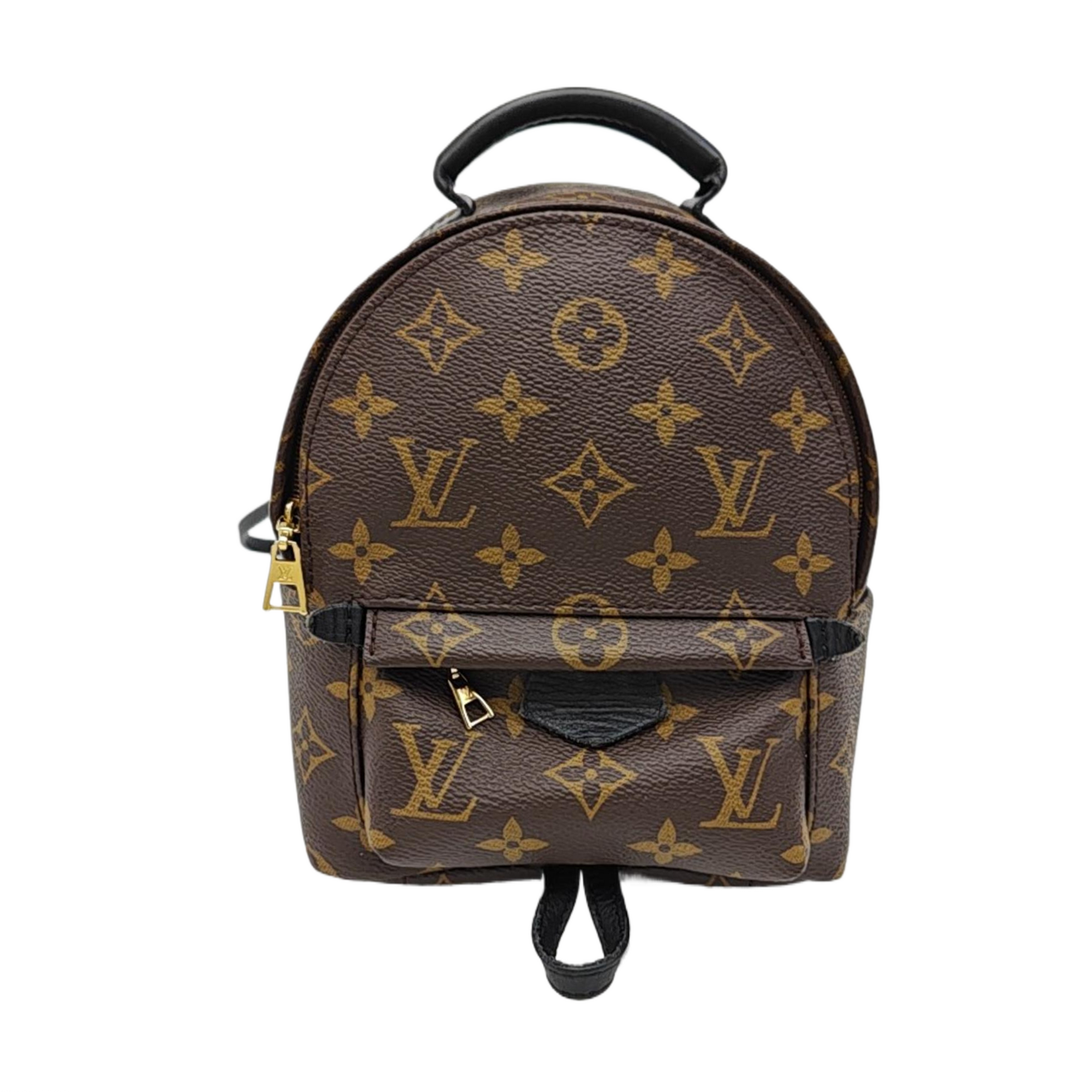 PALM SPRINGS Mini Monogram Coated Canvas Brown