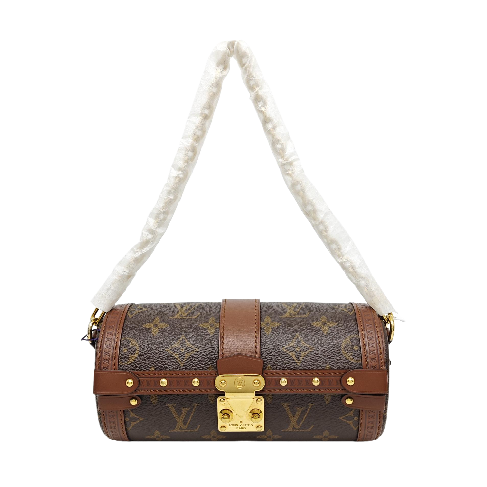 PAPILLON 19 Monogram Coated Canvas Brown