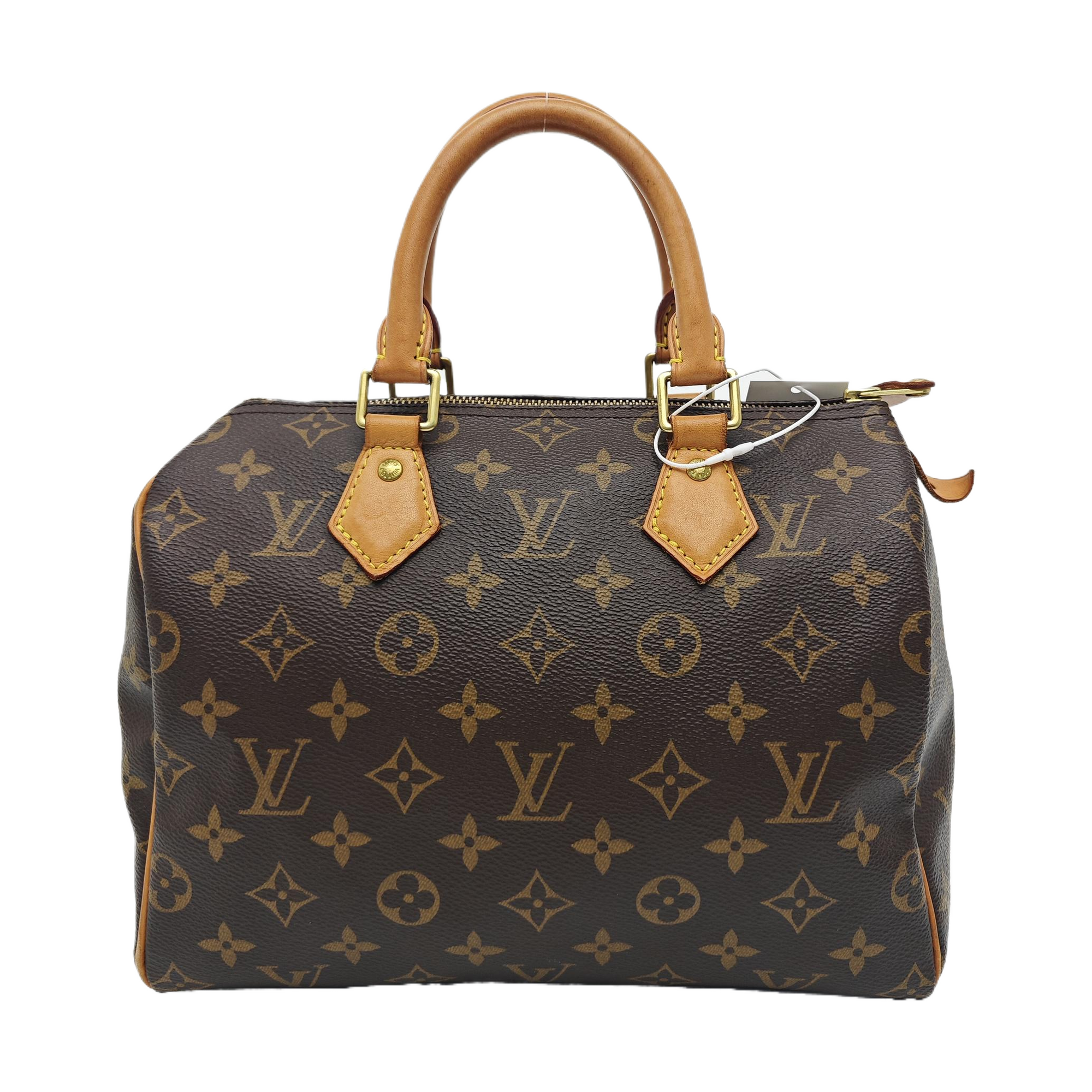 SPEEDY 25 Monogram Coated Canvas Brown