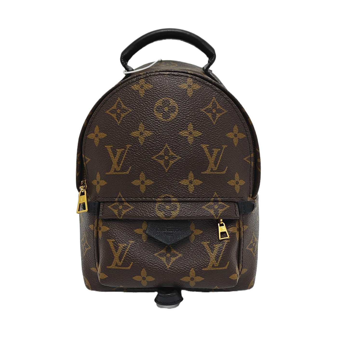 PALM SPRINGS Mini Monogram Coated Canvas Brown