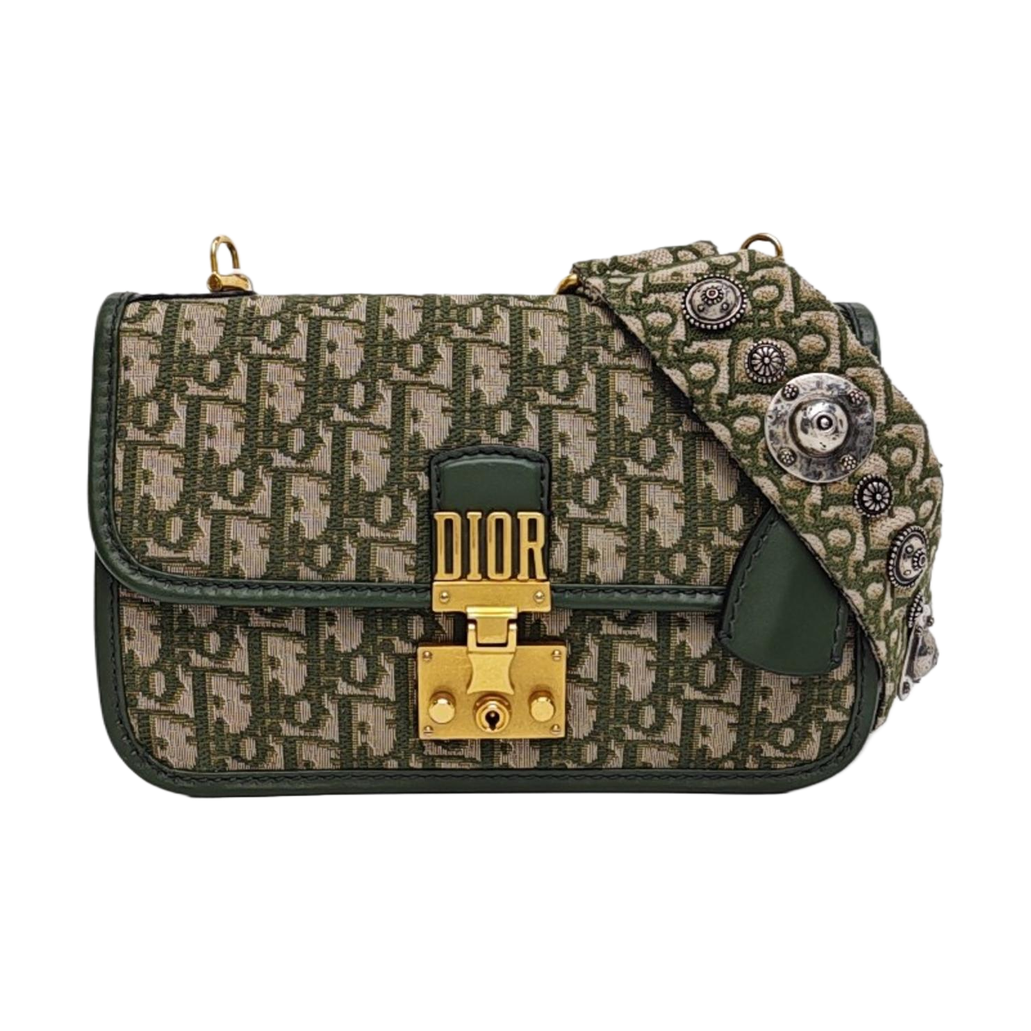 Dioraddict Oblique Canvas Green