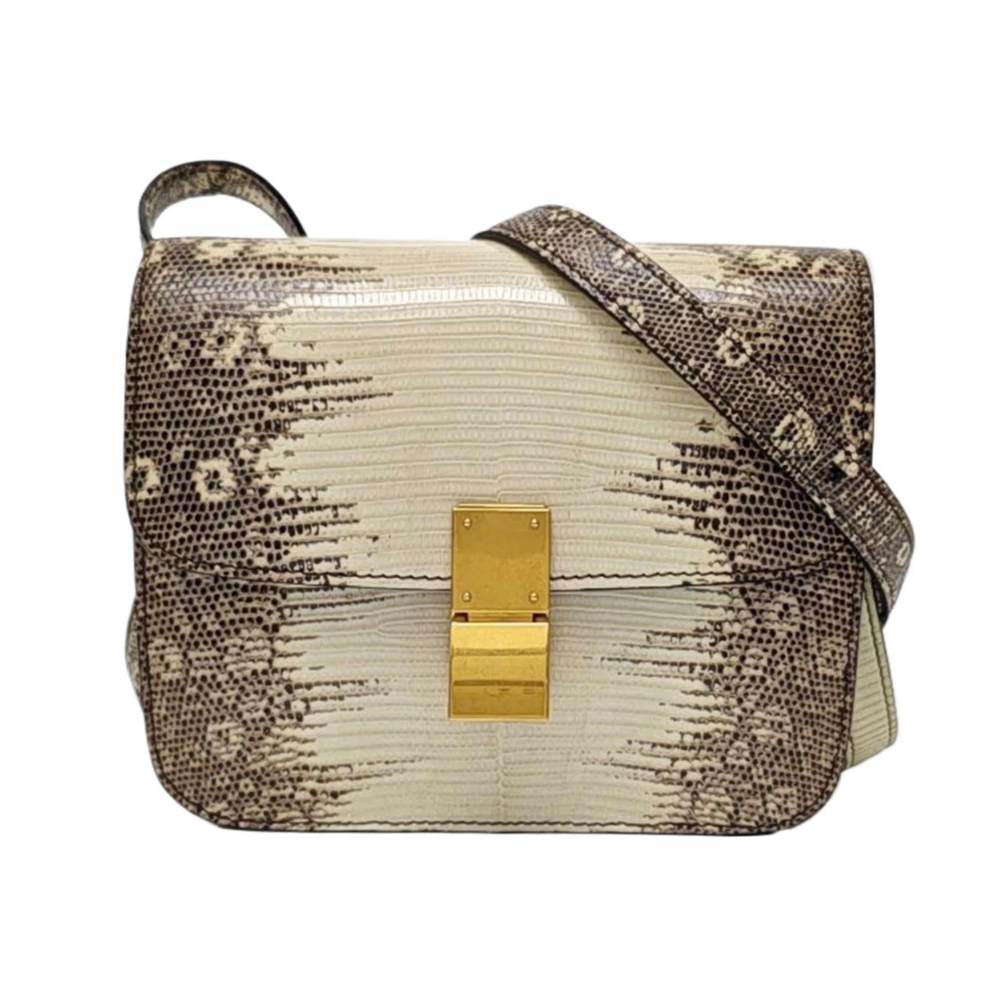 CLASSIC BOX Small Lizard Multicolor