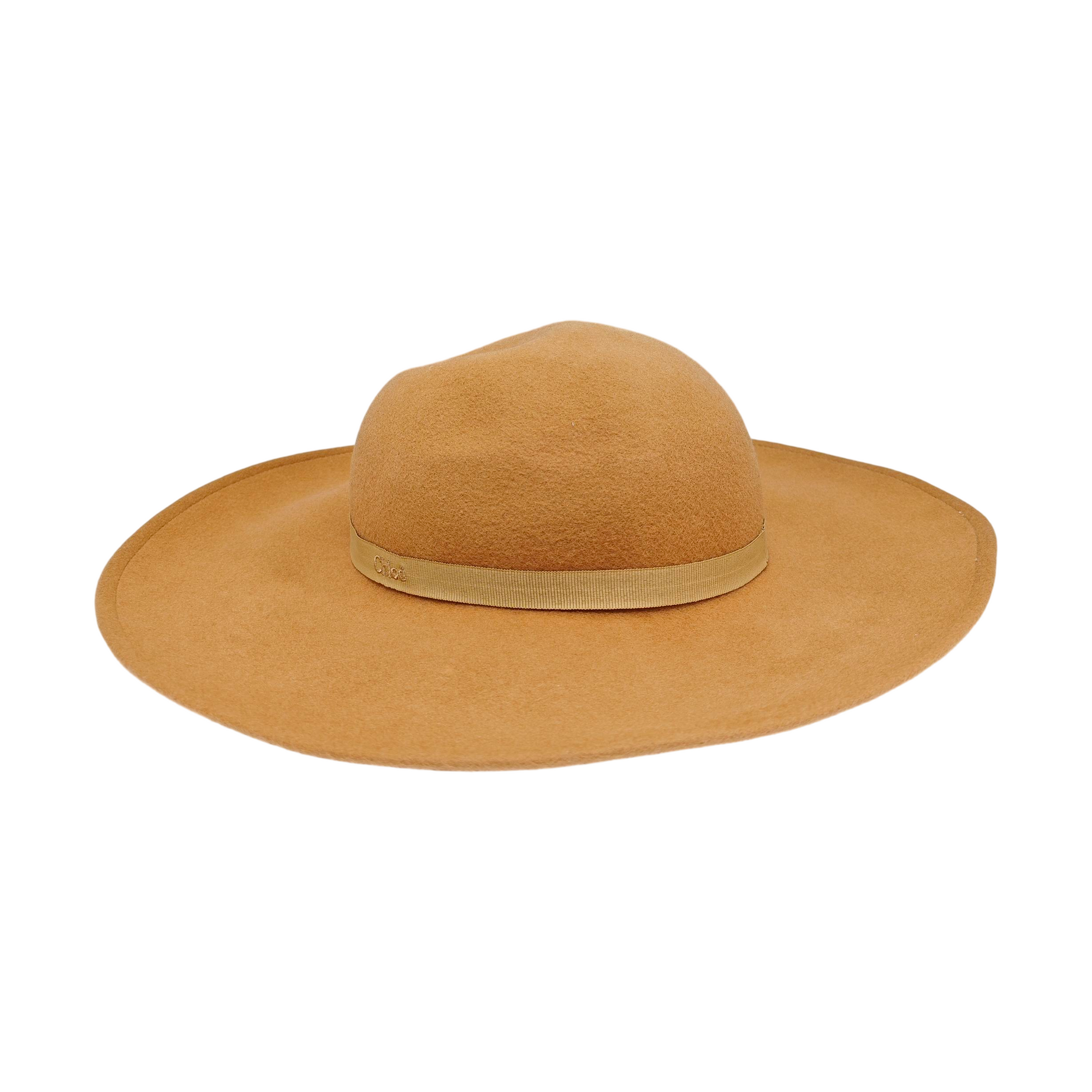 Brown Wool Hat